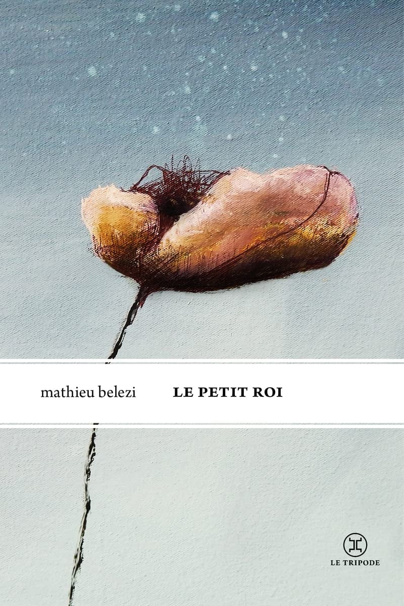 Le petit roi - Cover