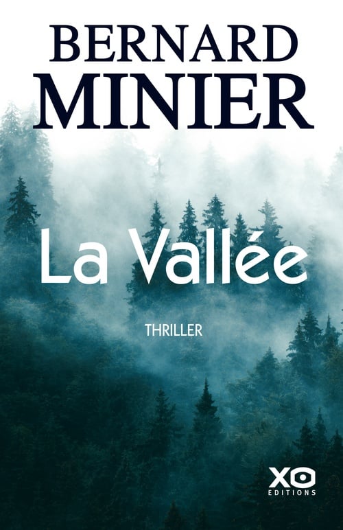 La vallée - Cover