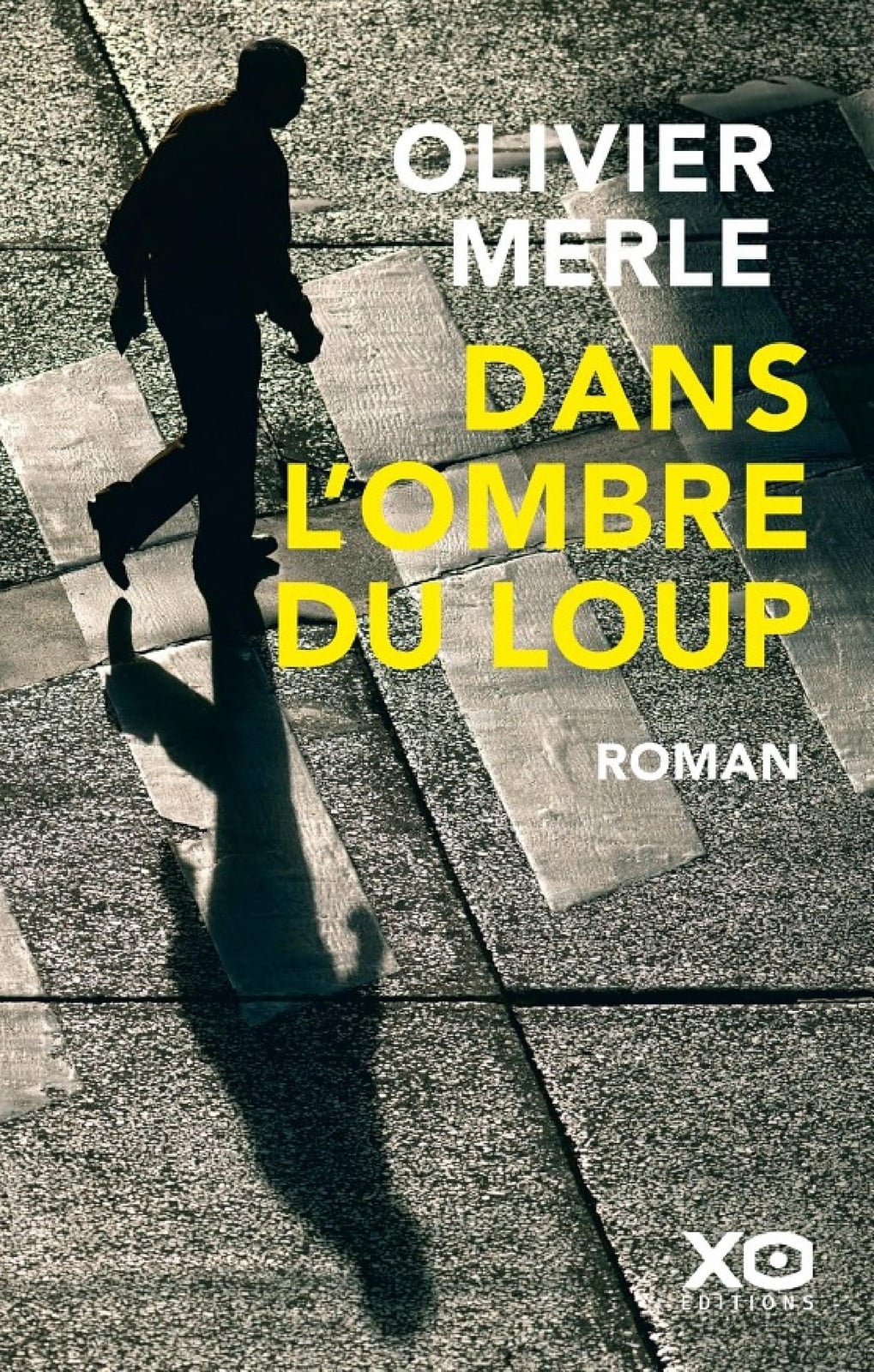 Dans l'ombre du loup - Cover
