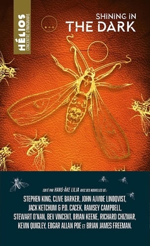 Shining in the dark - Cover