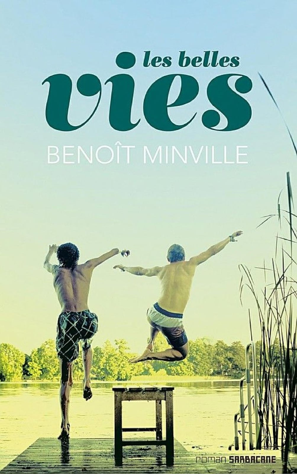 Les belles vies - Cover