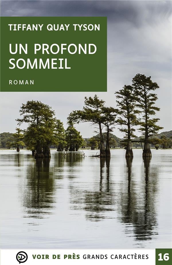 Un profond sommeil - Cover