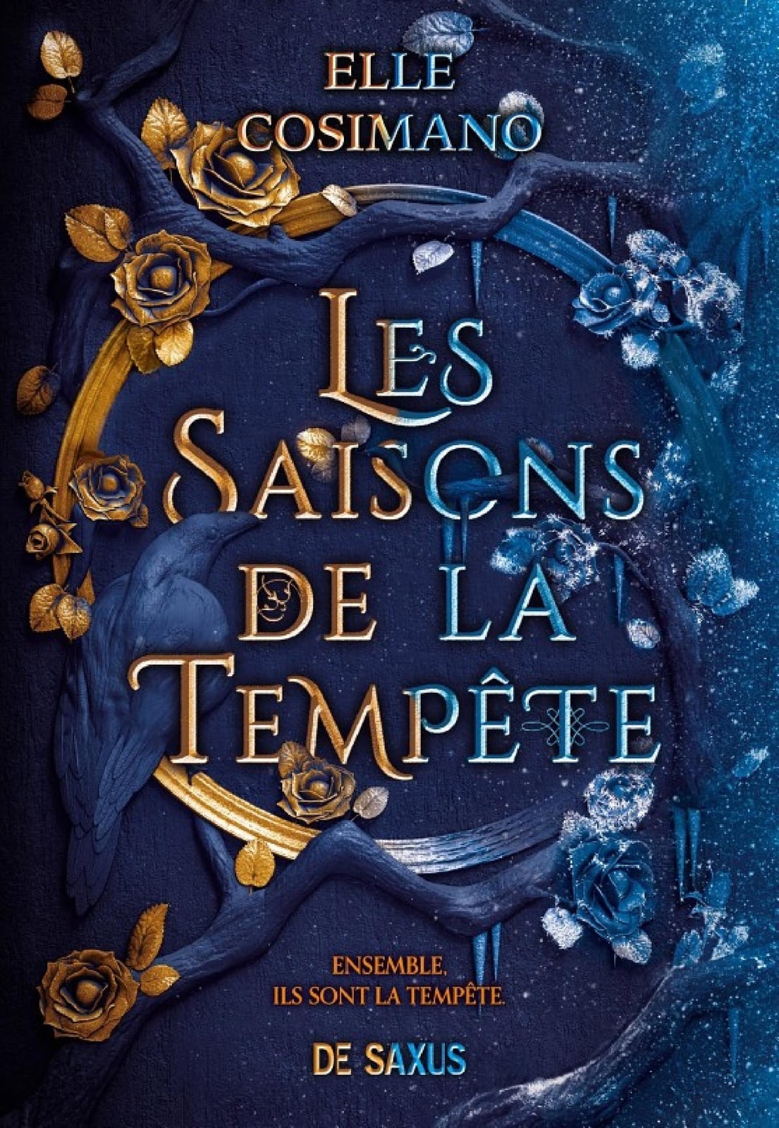 Les Saisons de la Tempête (Ebook) - Cover