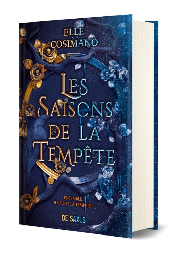 Les Saisons de la Tempête - Cover