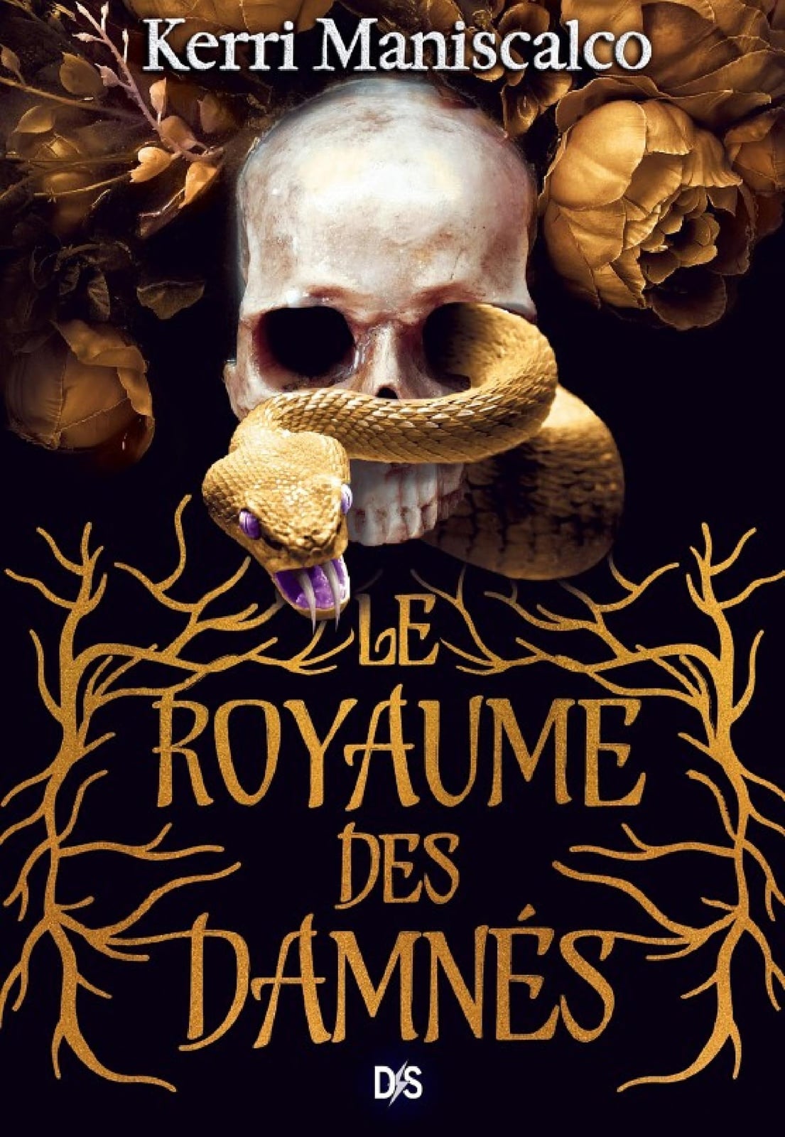 Le Royaume des Damnés T01 (e-book) - Cover