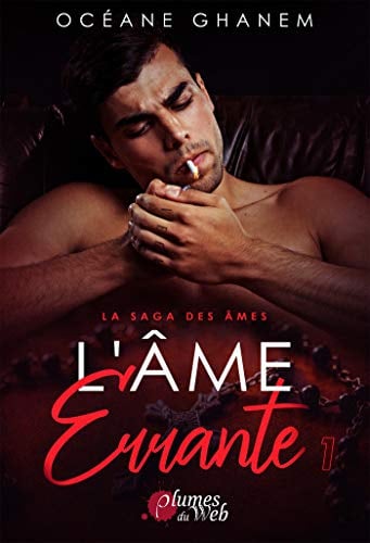 La Saga des Âmes : L’Âme Errante - Tome 1 - Cover