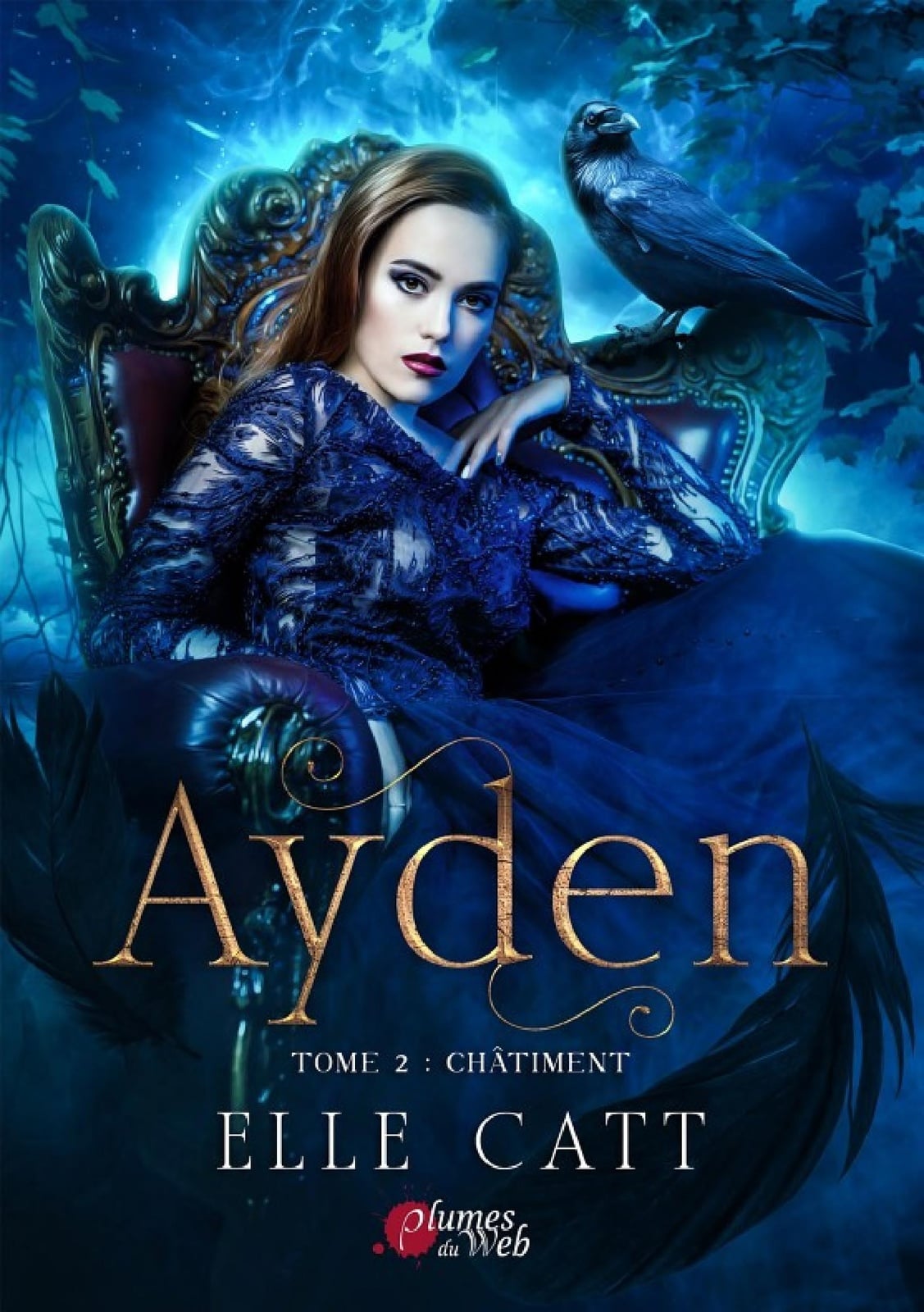 Ayden - Tome 2 : Châtiment - Cover