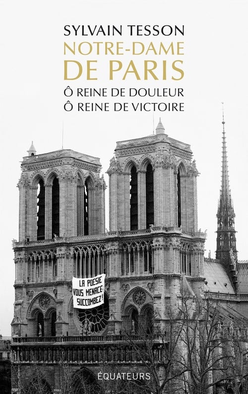 Notre-Dame de Paris - Ô reine de douleur, Ô reine de victoire - Cover