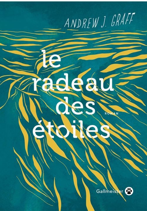 Le radeau des étoiles - Cover