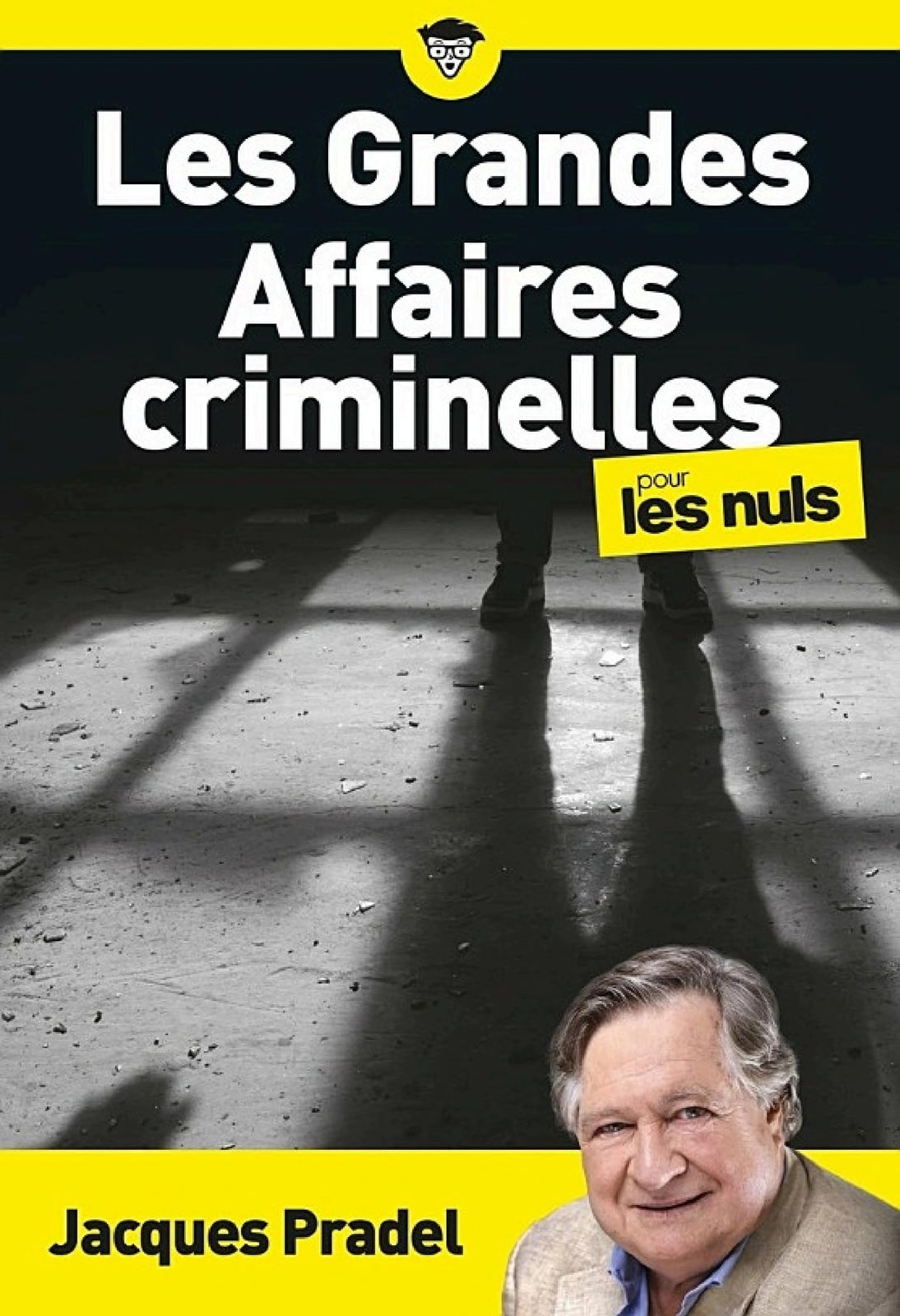 Les Grandes Affaires criminelles pour les Nuls, poche - Cover