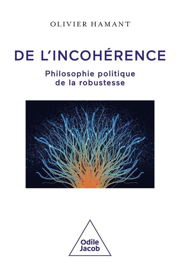 De l'incohérence - Cover
