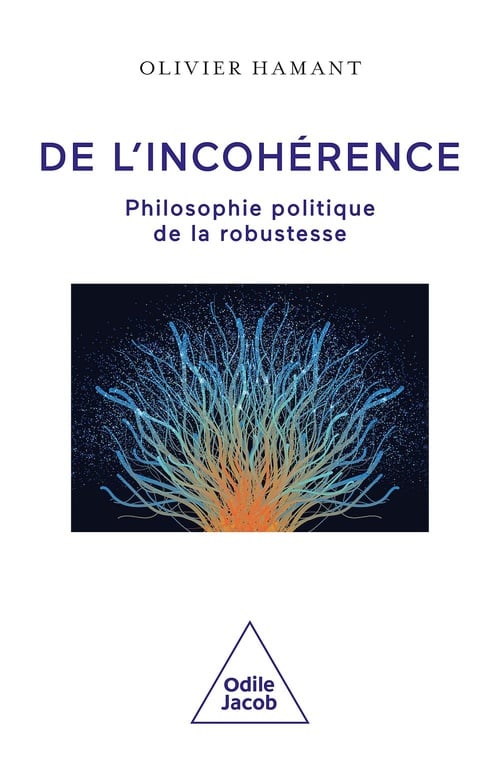 De l'incohérence - Cover