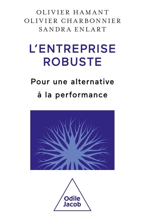 L' Entreprise robuste - Cover