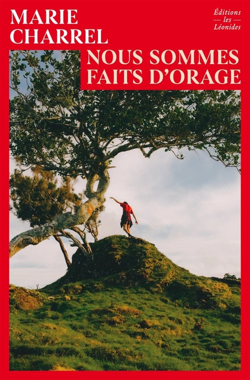 Nous sommes faits d'orage - Cover