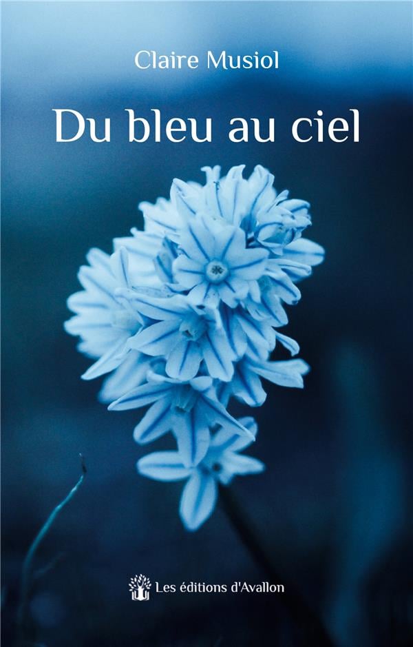 Du bleu au ciel - Cover