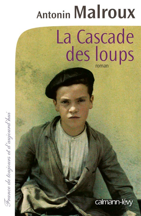 La Cascade des loups - Cover