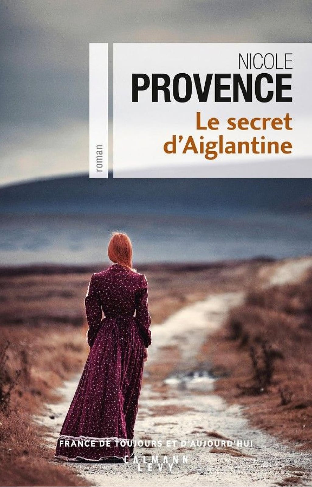 Le Secret d'Aiglantine - Cover