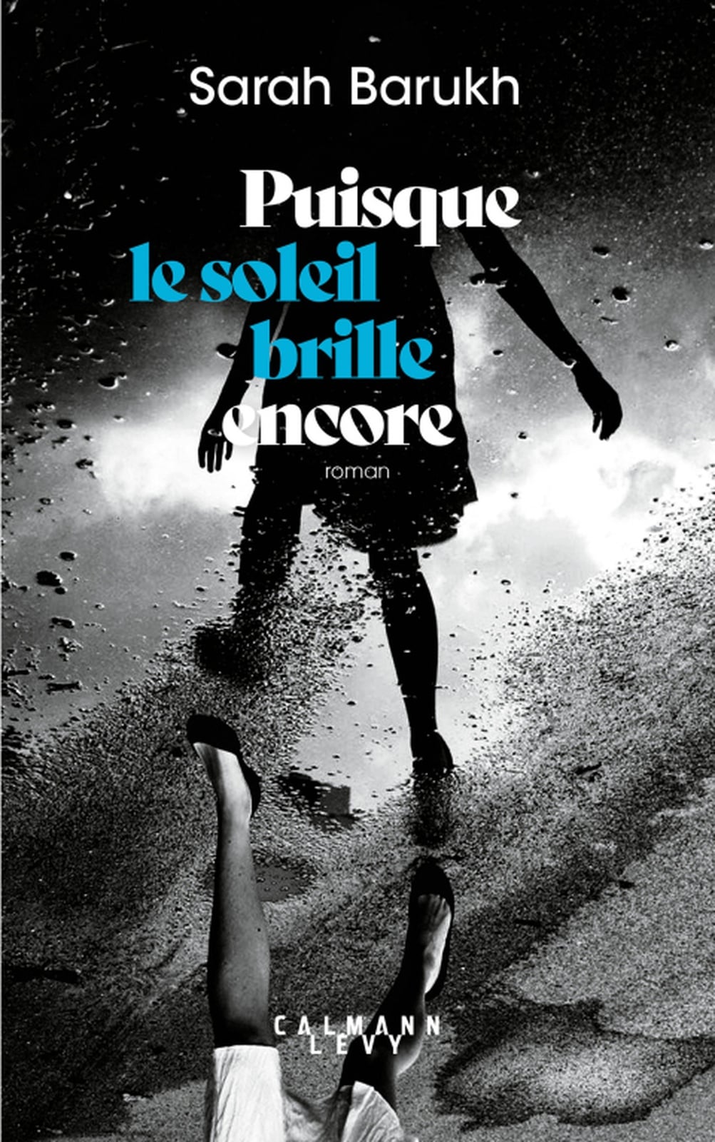 Puisque le soleil brille encore (Littérature Française) (French Edition) - Cover