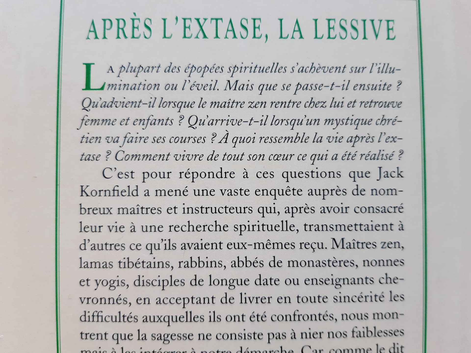 Après l'extase, la lessive - Cover