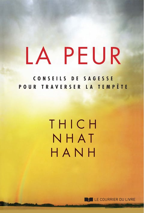 La peur : Conseils de sagesse pour traverser la tempête - Cover