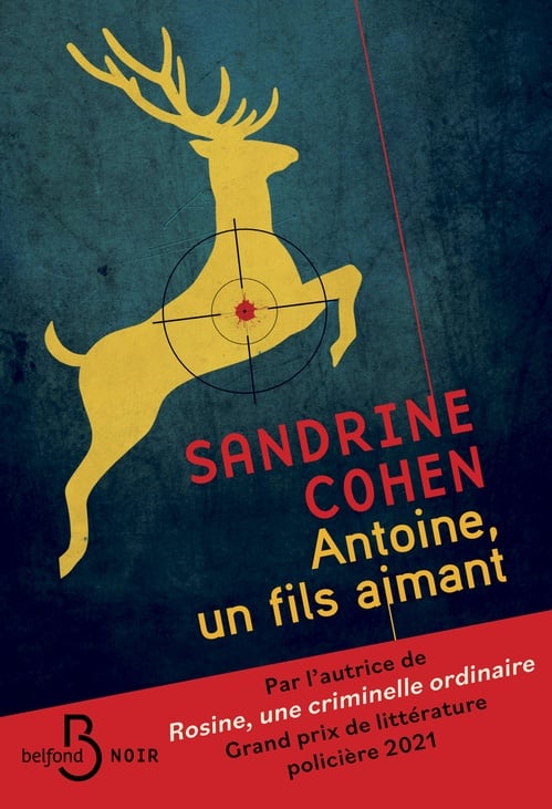 Antoine, un fils aimant - Après Rosine, une criminelle ordinaire, découvrez le nouveau roman de Sandrine Cohen - Cover