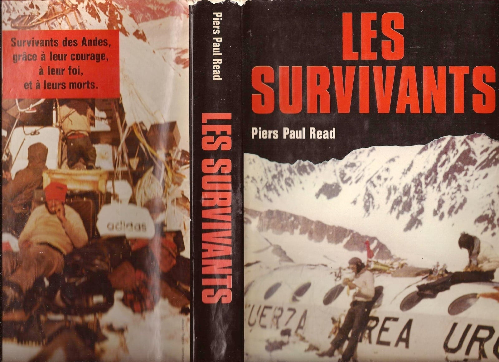 Les survivants - Cover