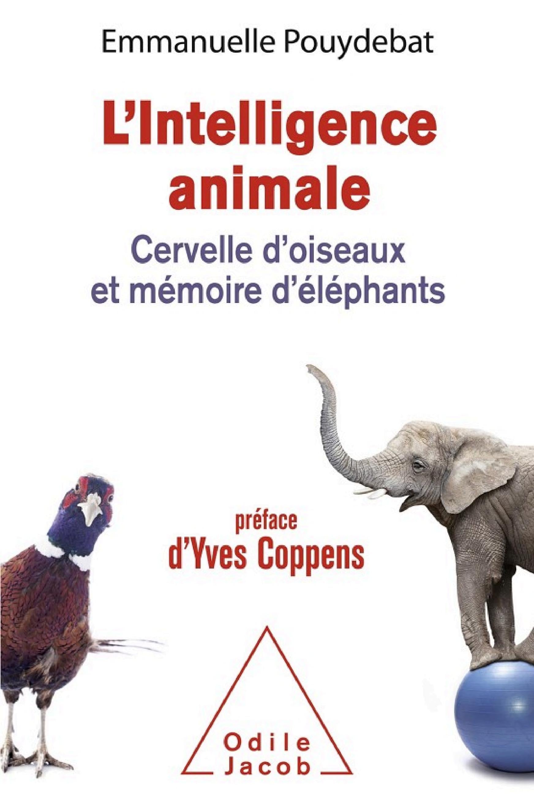 L' Intelligence animale - Cover