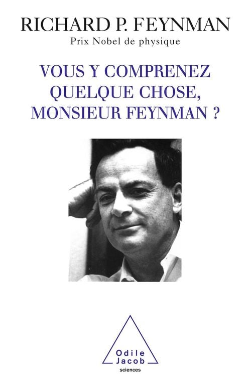 Vous y comprenez quelque chose, Monsieur Feynman ? - Cover