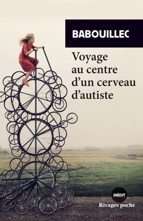 Voyage au centre d'un cerveau d'autiste - Cover