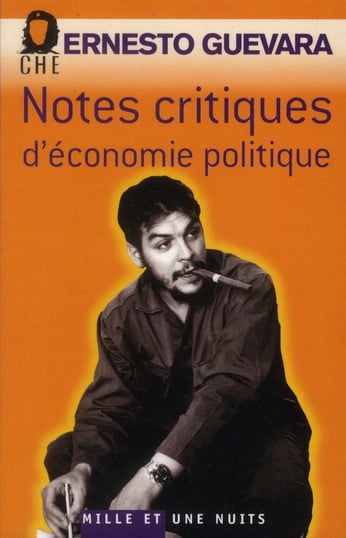 Notes critiques d'économie politique - Cover