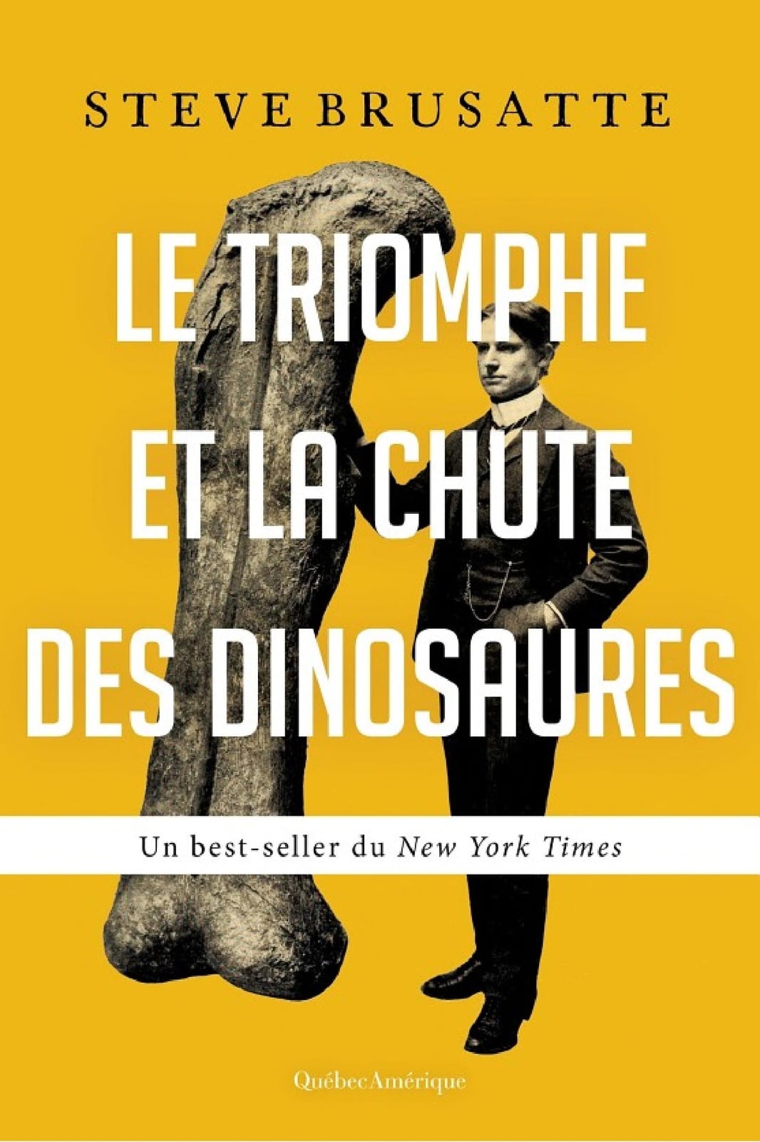 Le Triomphe et la chute des dinosaures - Cover