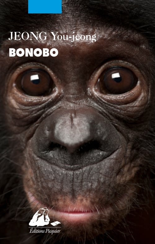 Bonobo - Cover