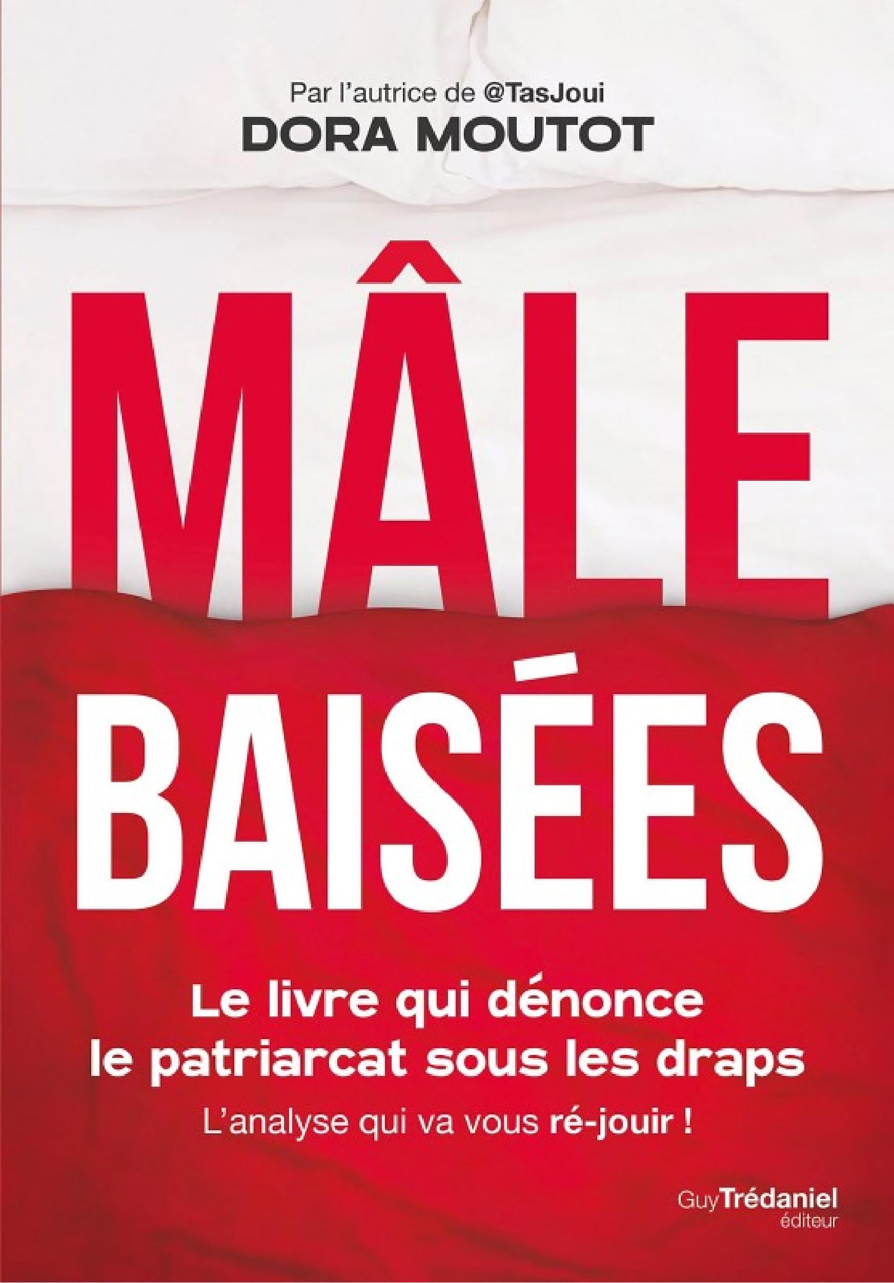Mâles baisées - Le livre qui dénonce le patriarcat sous les draps - Cover