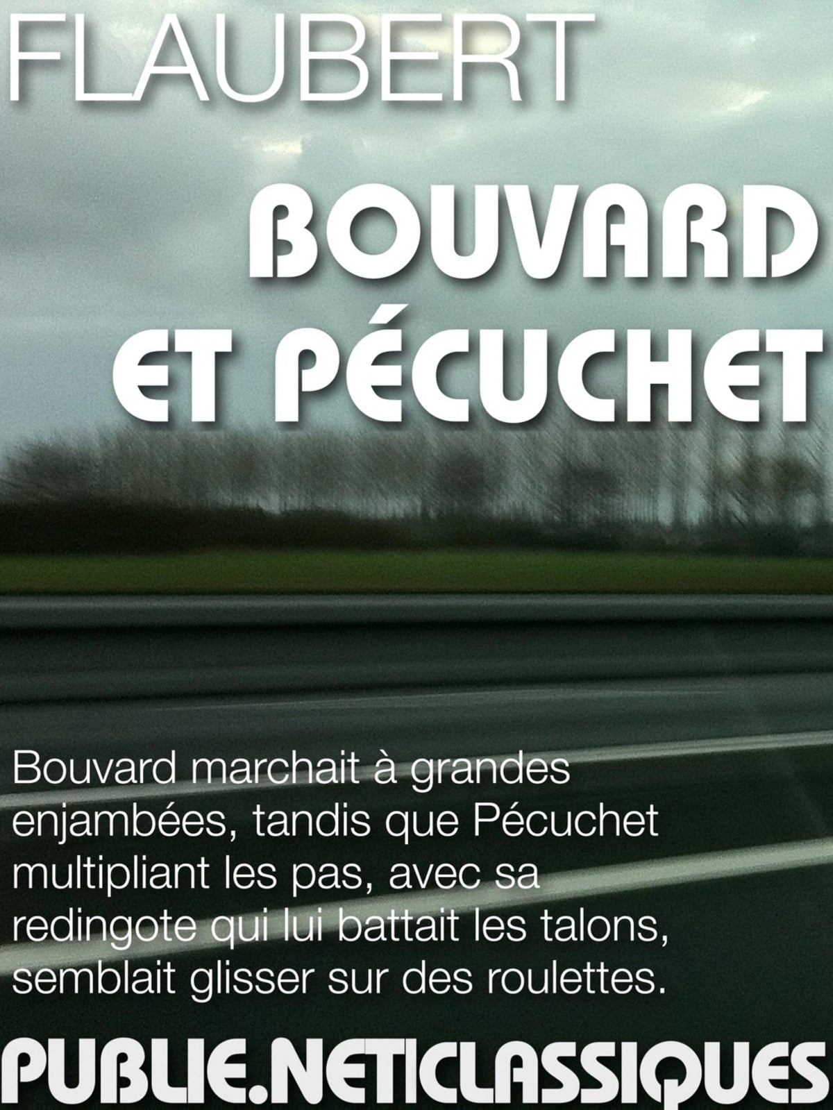 Bouvard et Pécuchet - Cover
