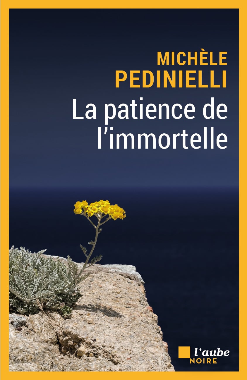 La patience de l'immortelle - Cover