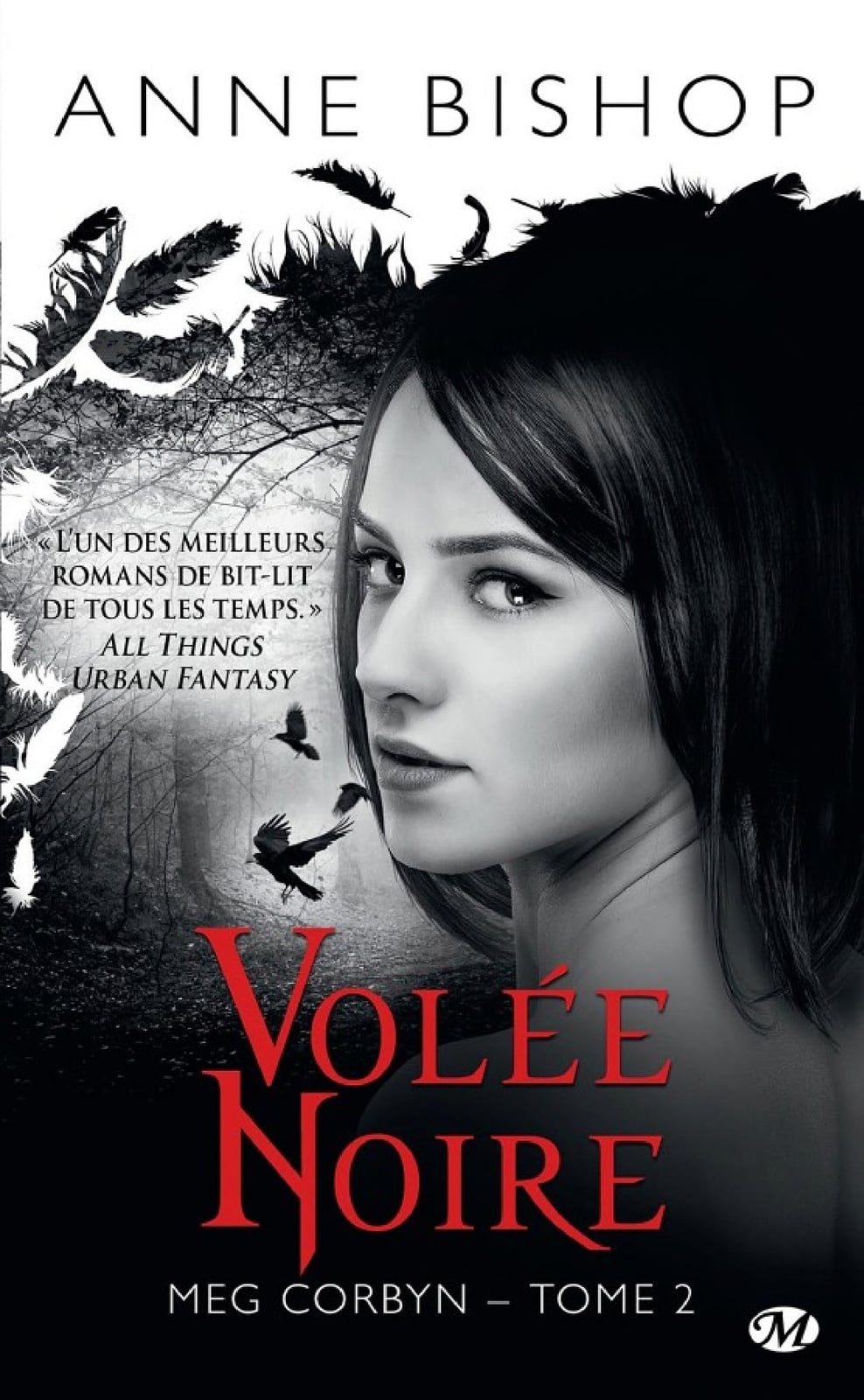 Meg Corbyn, T2 : Volée noire - Cover
