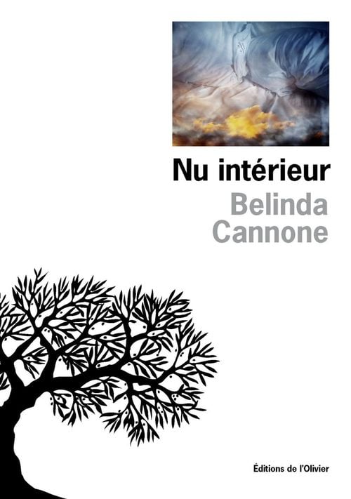 Nu intérieur - Cover