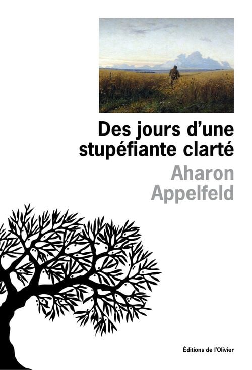 Des jours d'une stupéfiante clarté - Cover