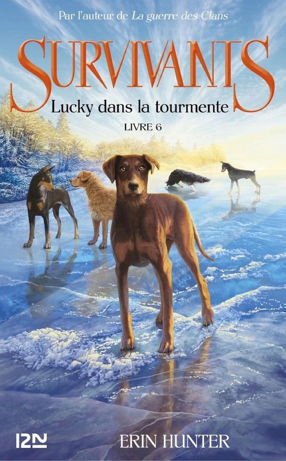Survivants - tome 6 : Lucky dans la tourmente - Cover