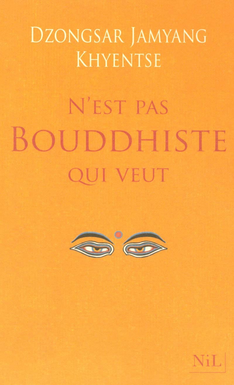 N'est pas bouddhiste qui veut - Cover
