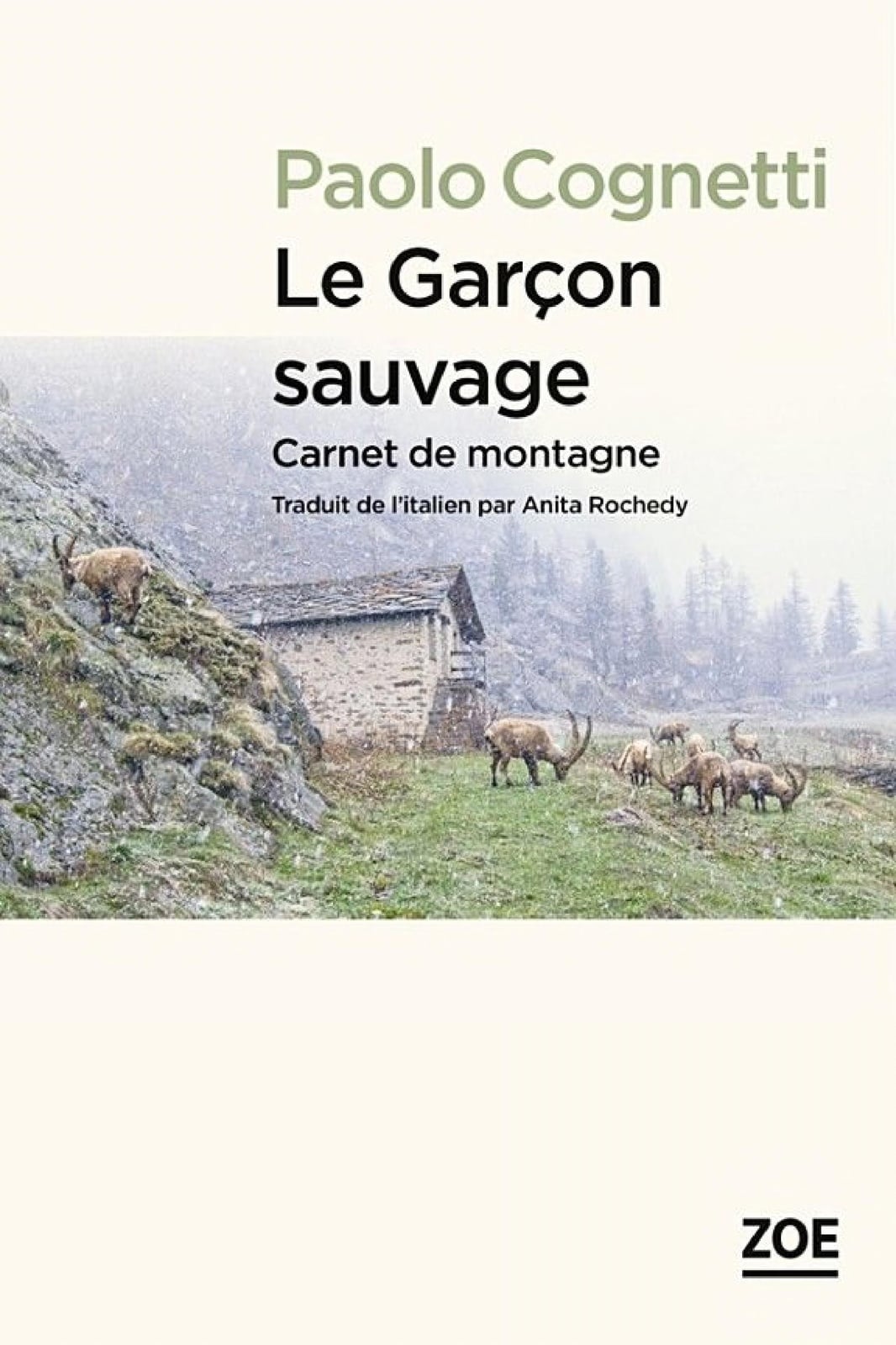 Le Garçon sauvage - Cover