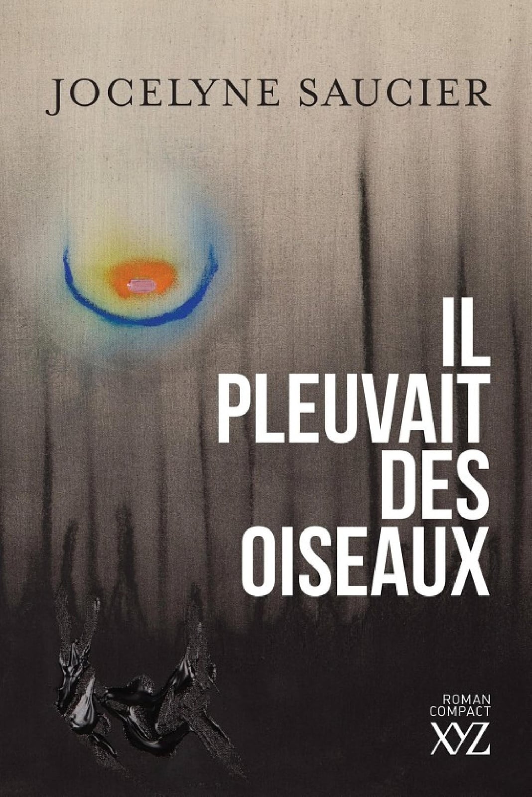 Il pleuvait des oiseaux - Cover
