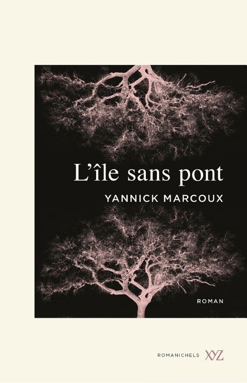 L'île sans pont - Cover