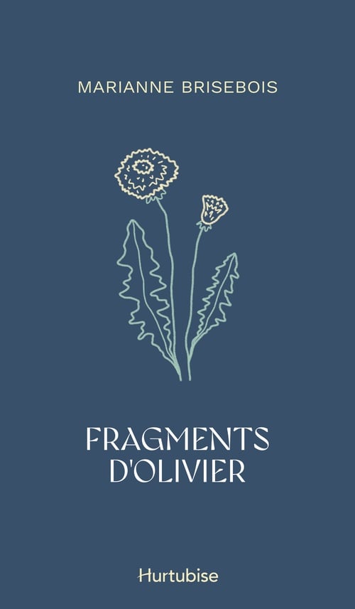 Fragments d'Olivier - Cover