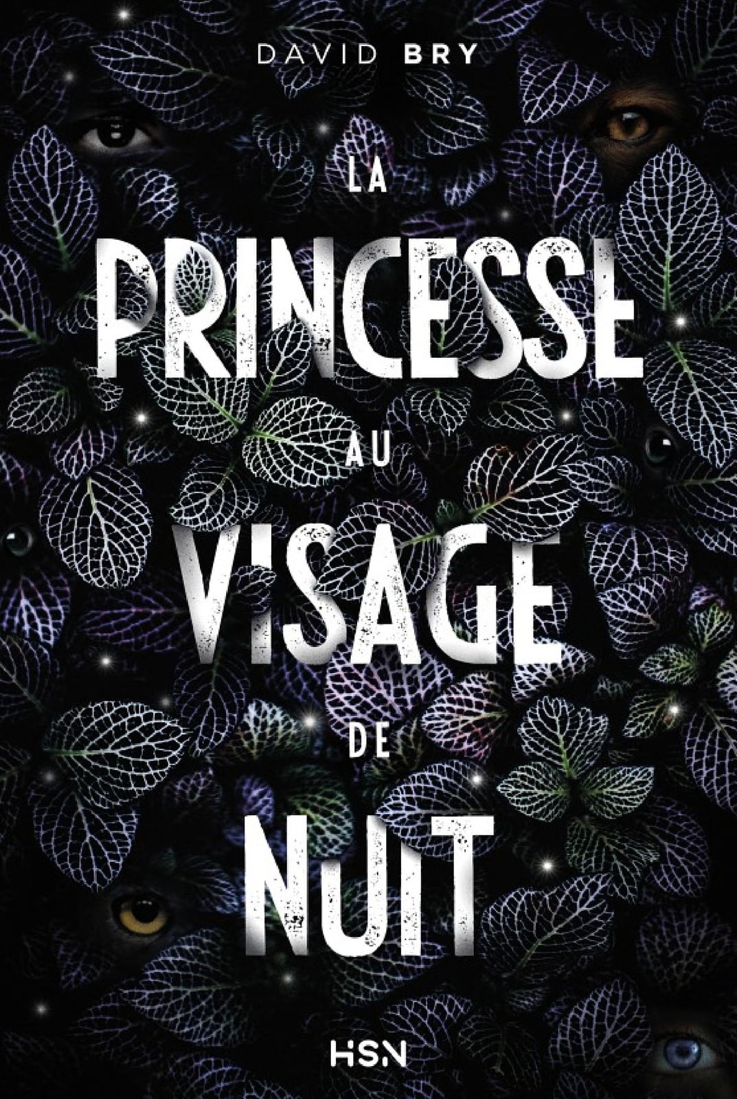 La Princesse au visage de nuit - Cover