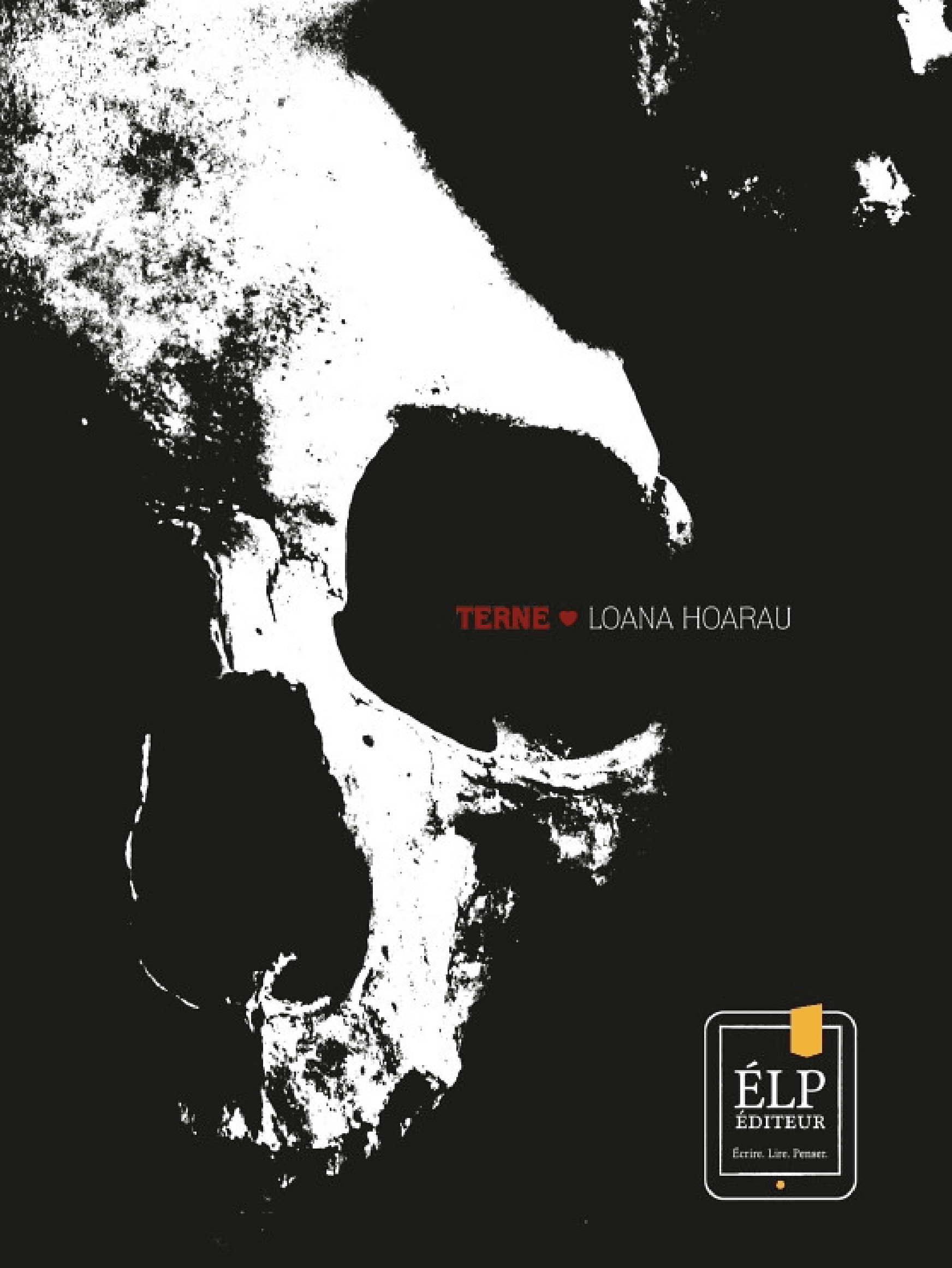 Terne - Cover