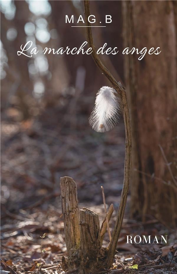 La marche des anges - Cover