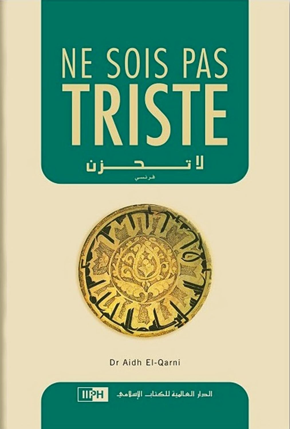 Ne sois pas triste - Cover