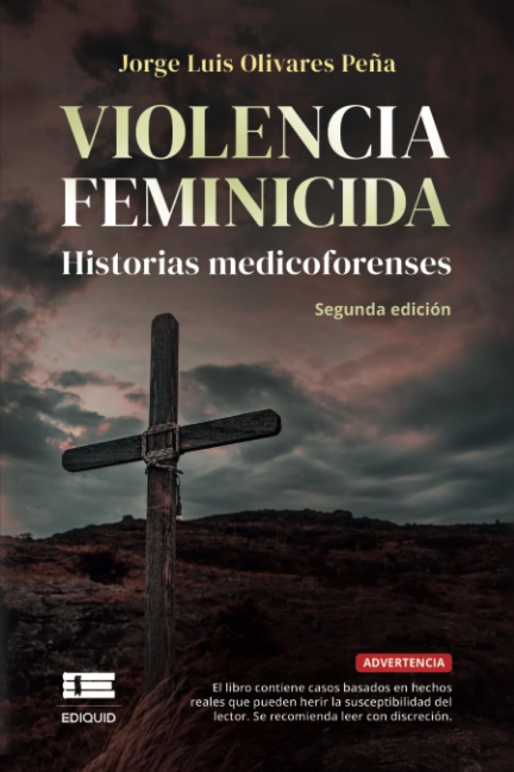 Violencia feminicida - Cover