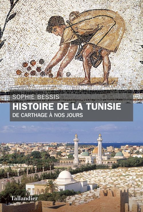 Histoire de la Tunisie - Cover